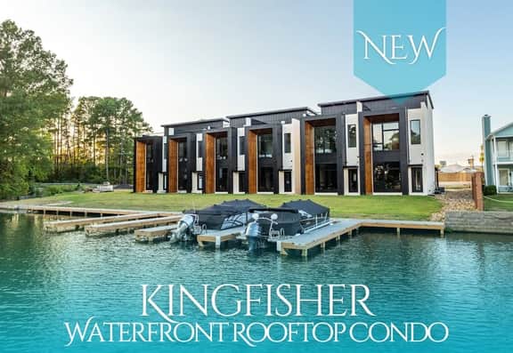 Wild Kingfisher - C1 | C2