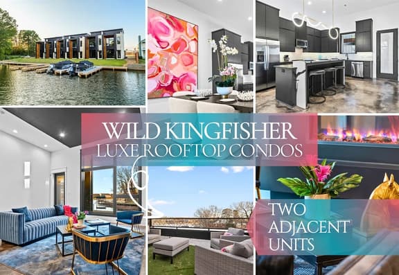 Wild Kingfisher - C1 | C2
