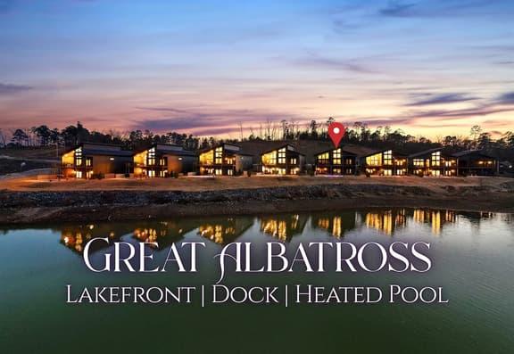 The Great Albatross
